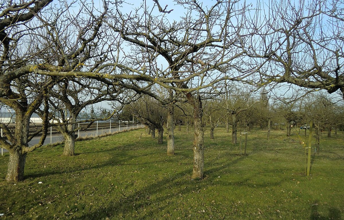 DSGVO im Roten Eck am 8.06.2018